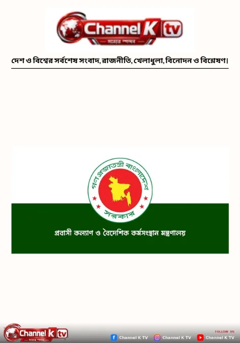 প্রবাসী কল্যাণ মন্ত্রণালয়ের সংসদীয় স্থায়ী কমিটিতে রয়েছেন যারা