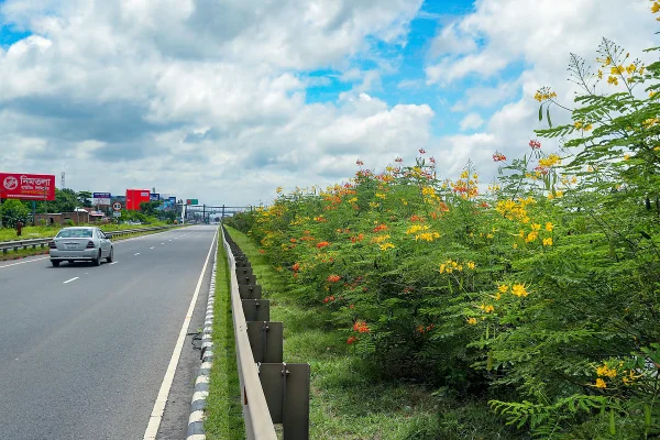এক্সপ্রেসওয়েতে ফুলের সমারোহ