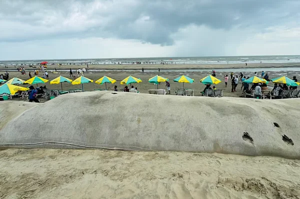 কক্সবাজার সৈকতের ভাঙন কেন তীব্র হচ্ছে, এ কিসের ইঙ্গিত